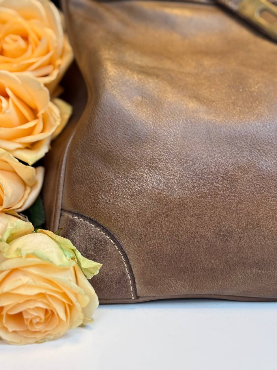Walnuts washed leather bag with handmade finished color